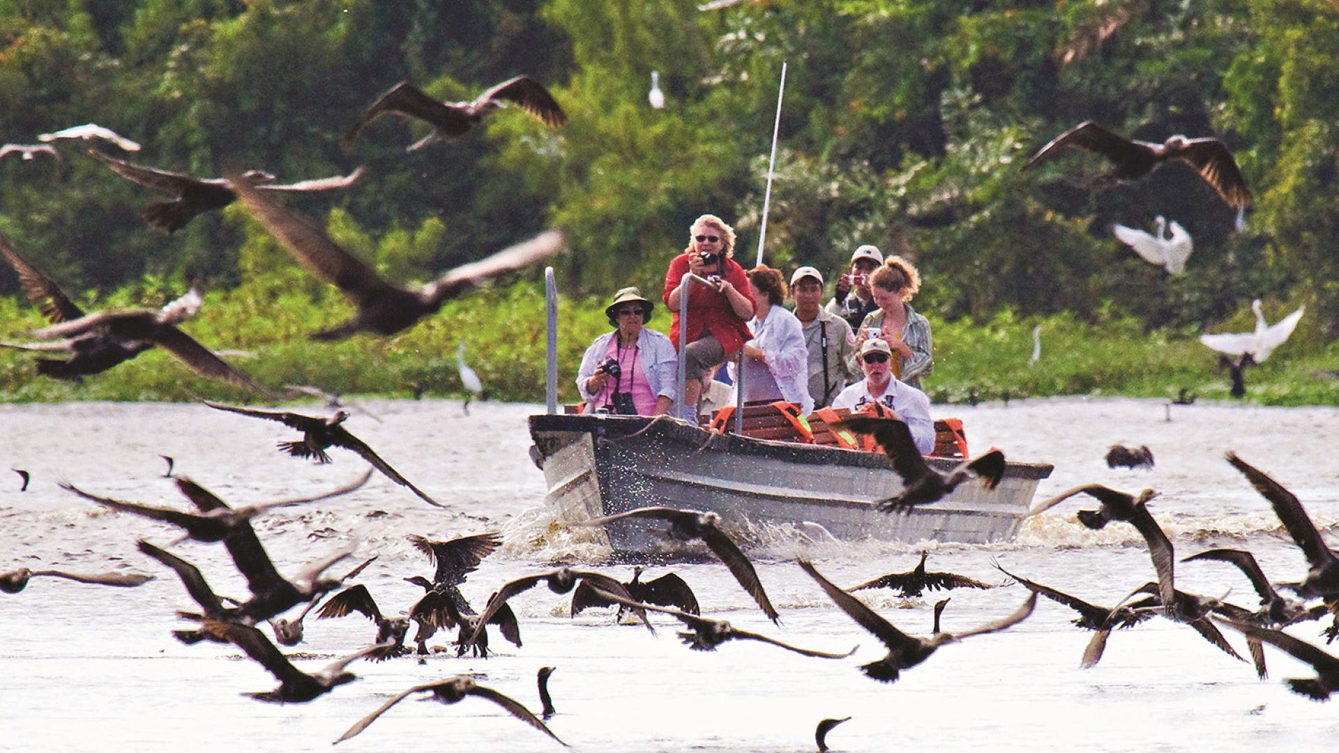 Discover the Amazon
