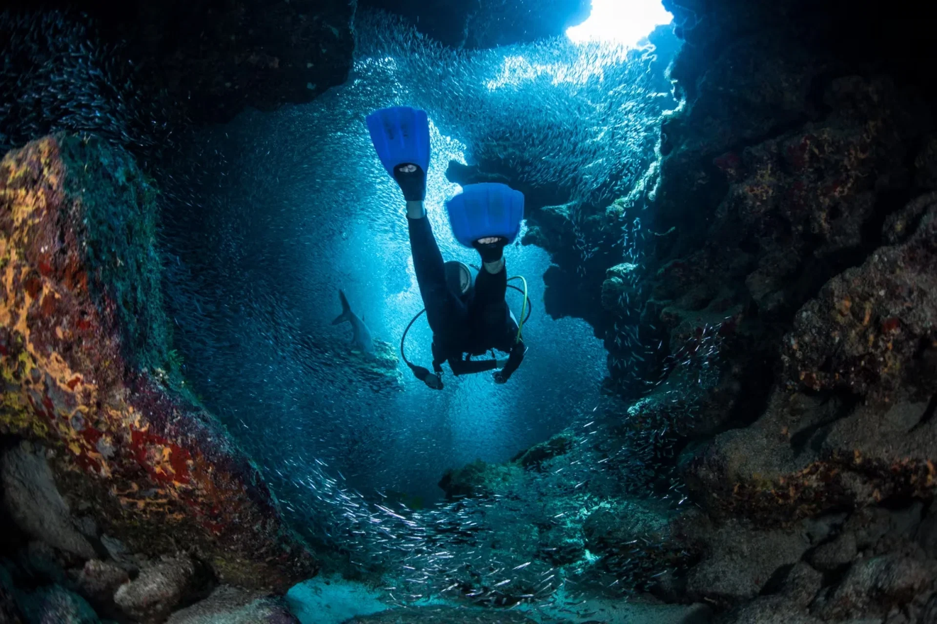 Western Caribbean reef, ruins, beaches, and adventure experiences