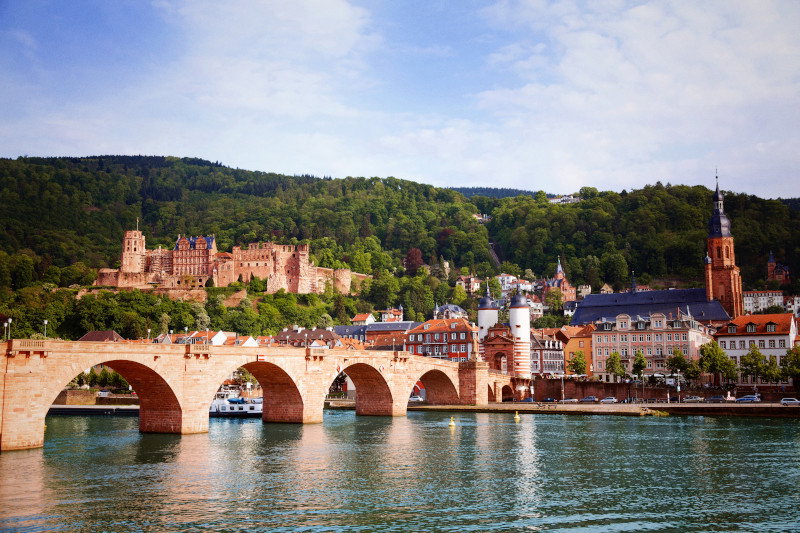 Captivating Rhine