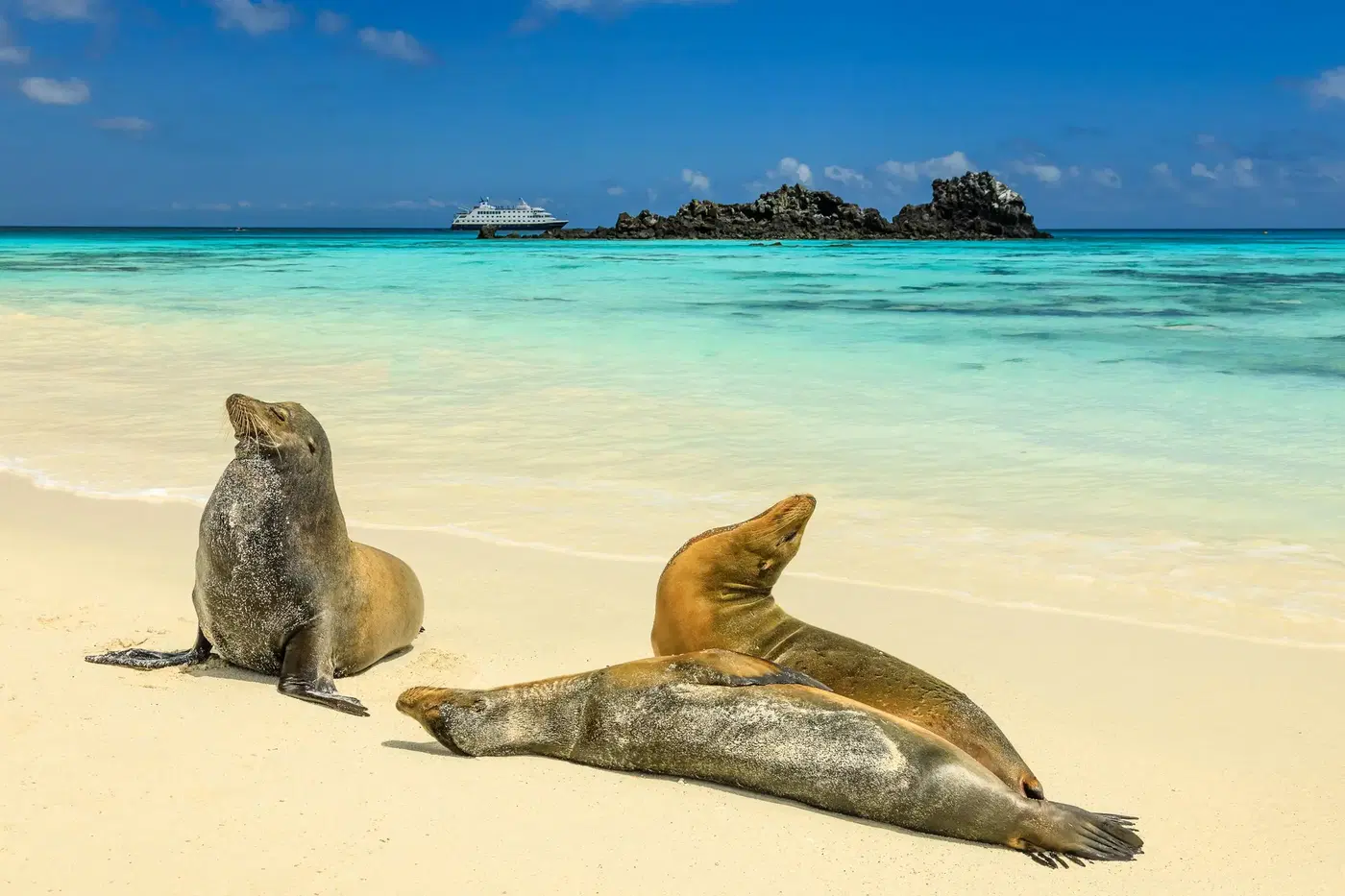 Galapagos Islands