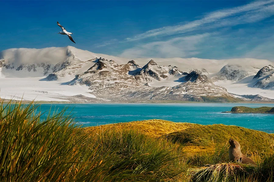 Falkland Islands