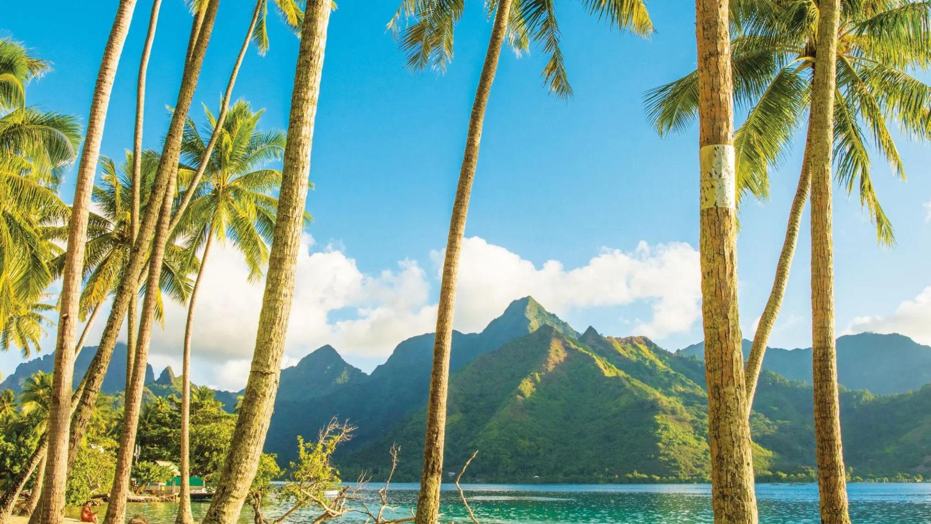 French Polynesia’s Tuamotus: Hidden Atolls and Coral Seas