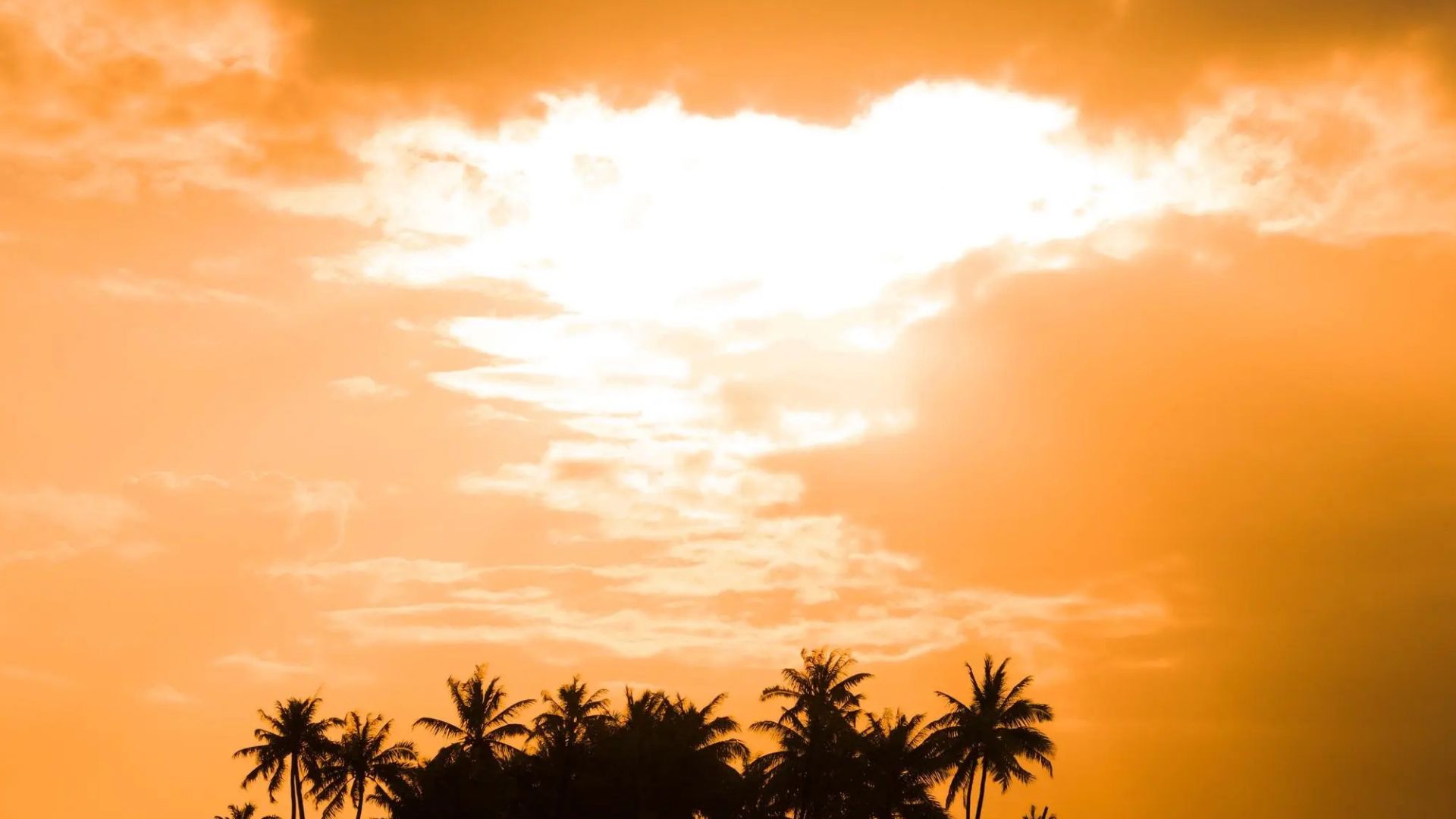 Fiji and Tahiti: Vibrant Reefs and Cultural History