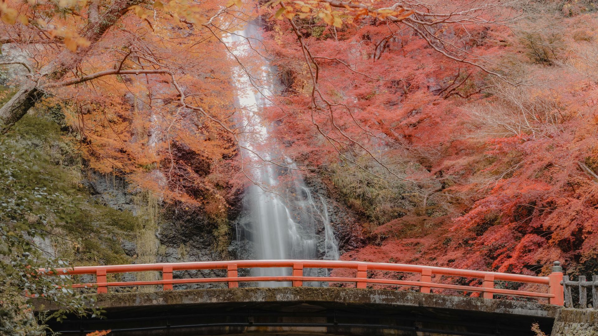 Autumn 2027 | Japan Foliage Season