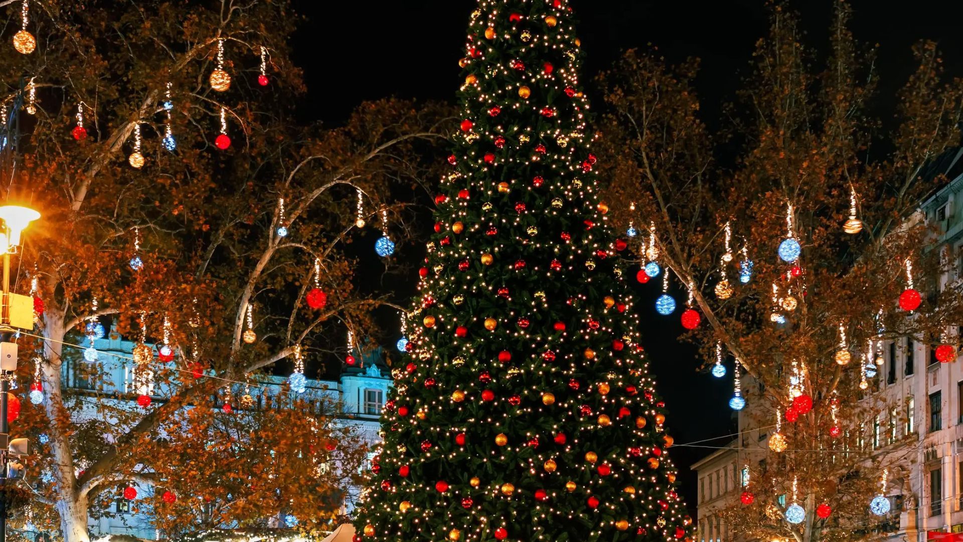 Christmas Markets on the Danube