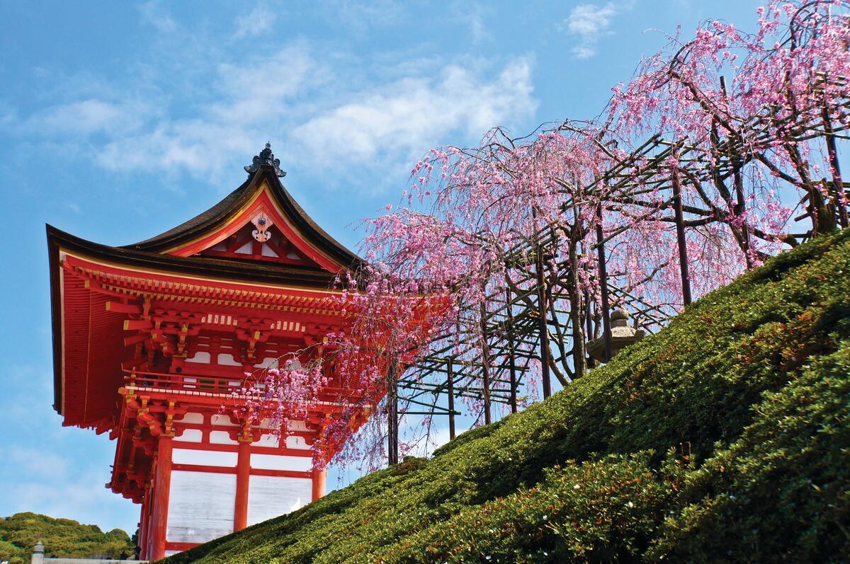 The Flavors of Japan & South Korea