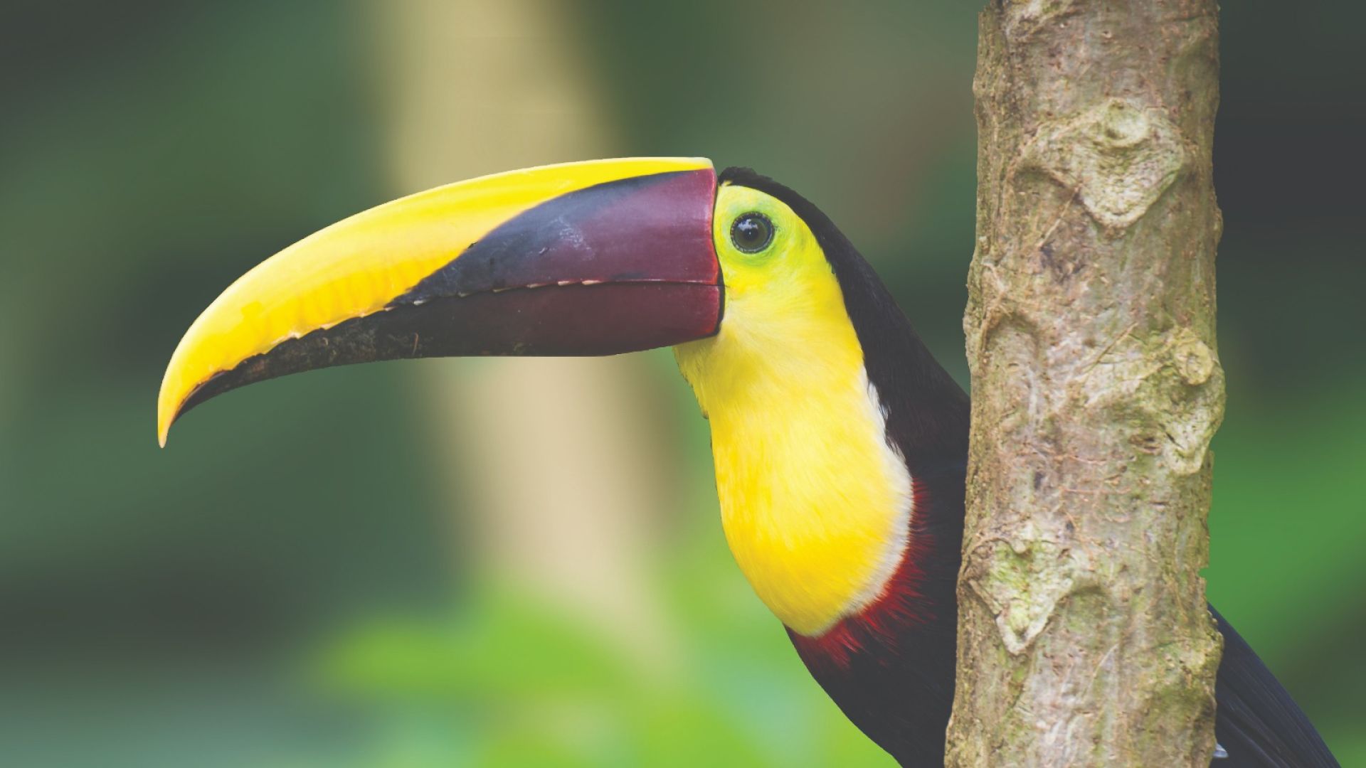 Discover Central America