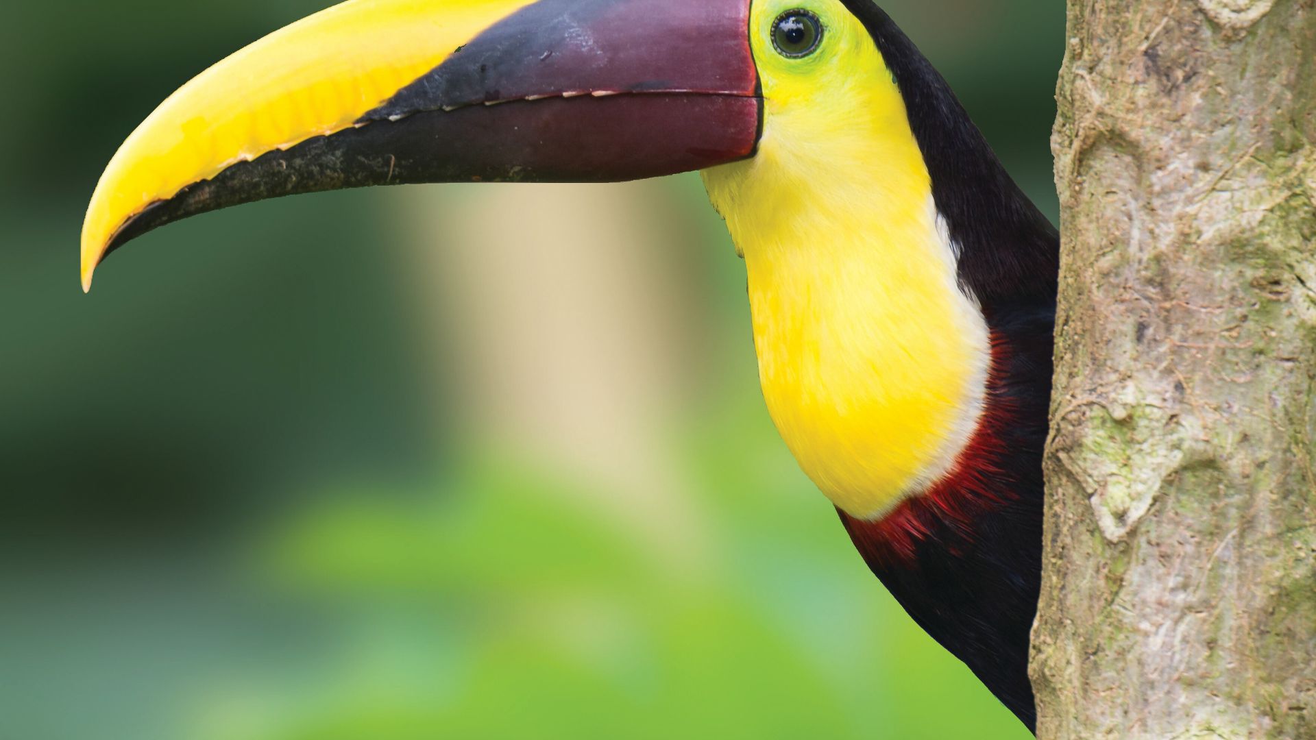 Panama and Colombia: Exploring the Caribbean Coast