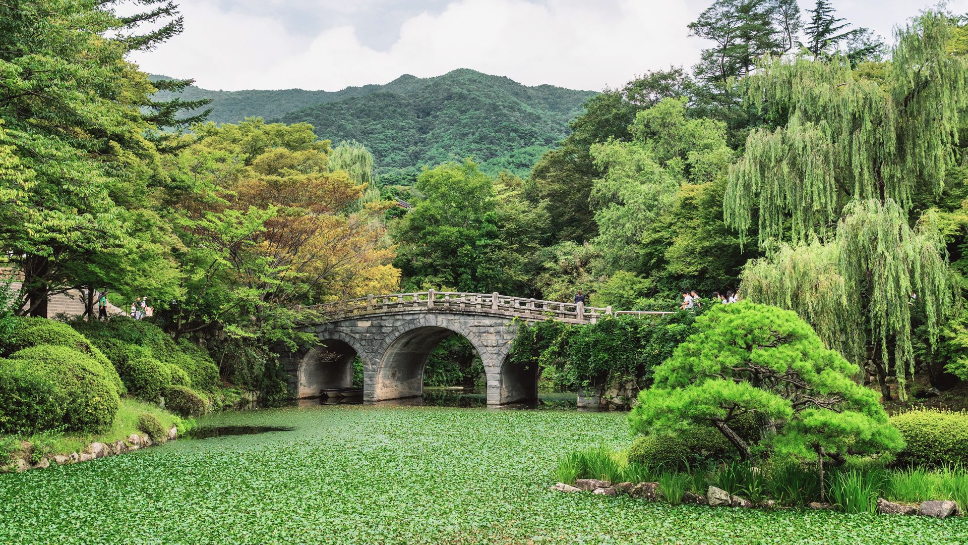 Coastal Japan: Imperial Dynasties and Modern Culture