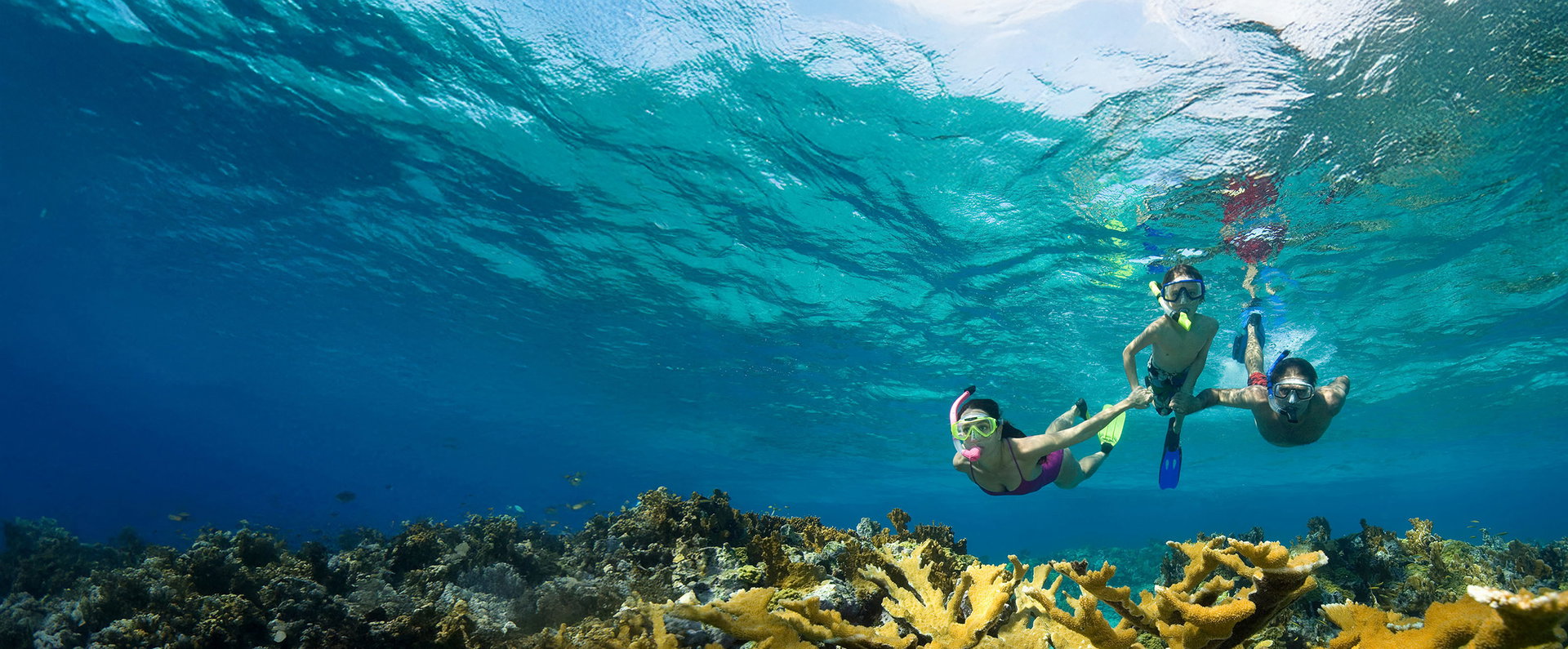 EXPERIENCE THE CARIBBEAN
