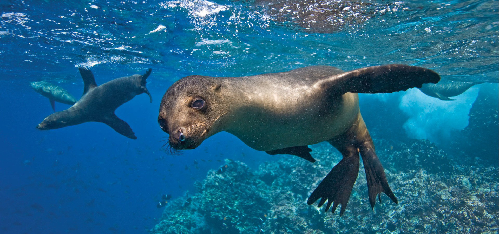 National Geographic Lindblad Expeditions 2026 Special Offer
