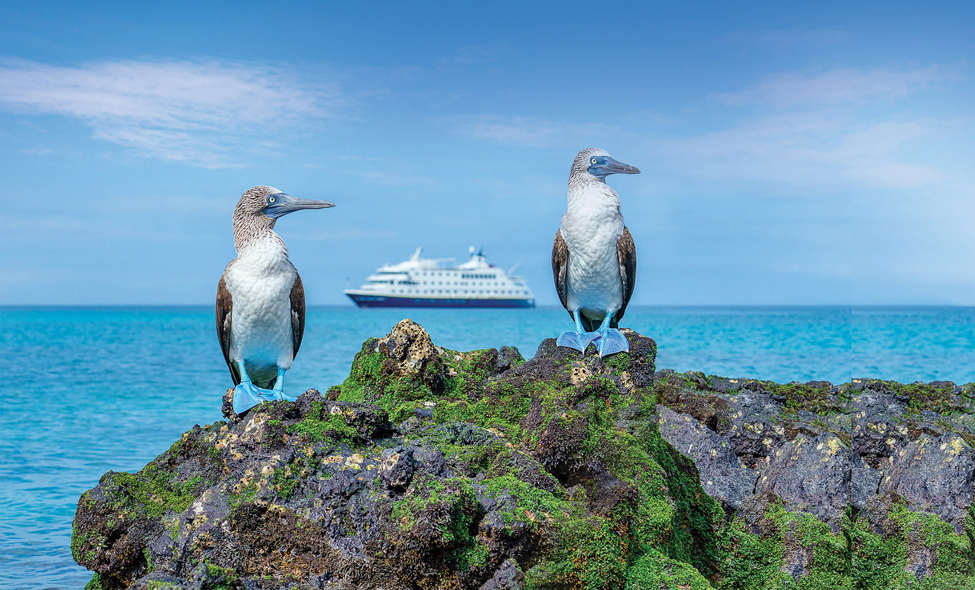 National Geographic Lindblad Expeditions Reduced Deposit Offer