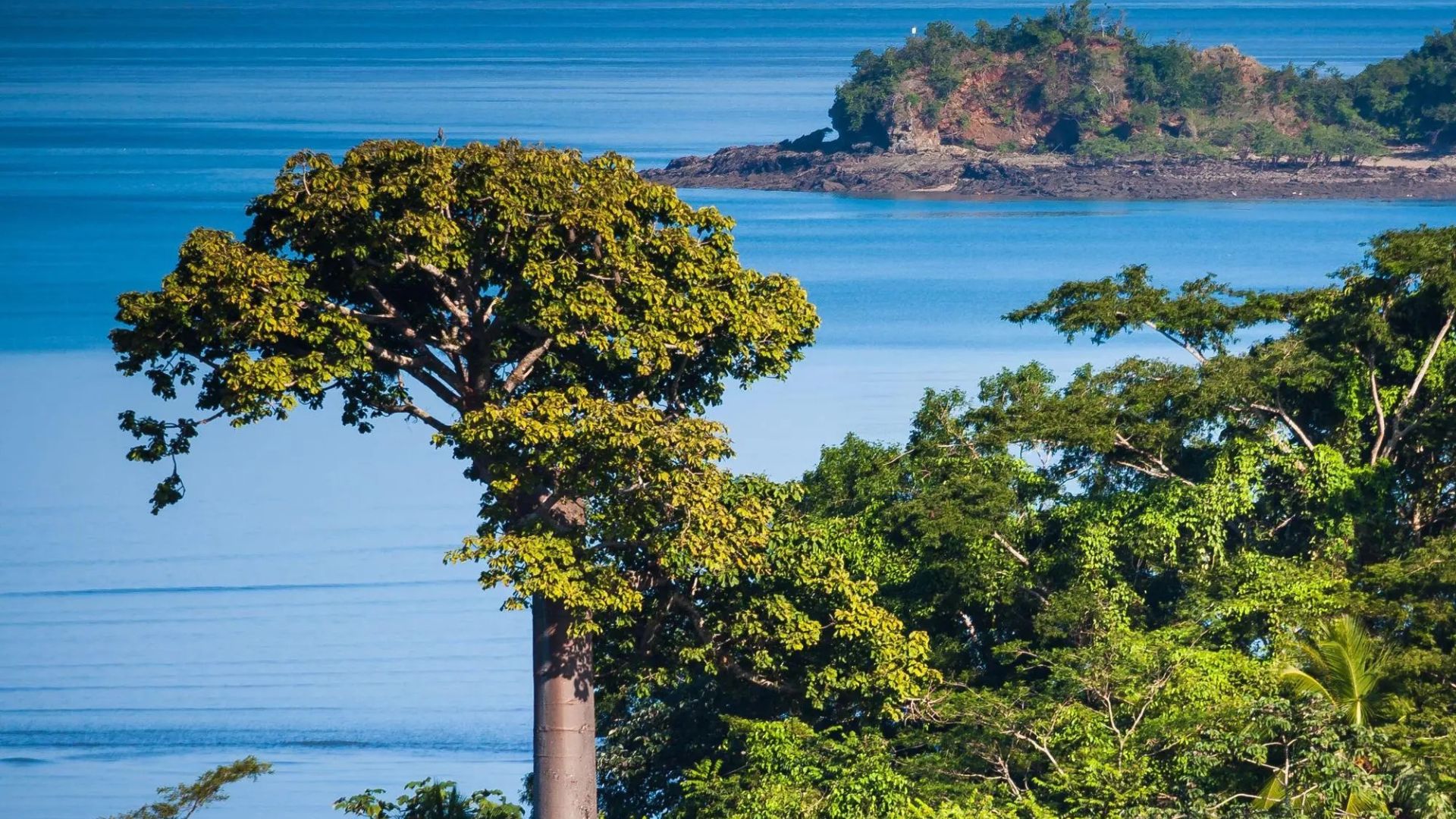 Panama and Costa Rica’s Pacific Coast: A Central America Odyssey