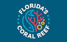 Coral City Camera - Miami's Underwater Live Stream