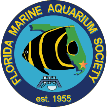 FMAS Florida Marine Aquarium Society