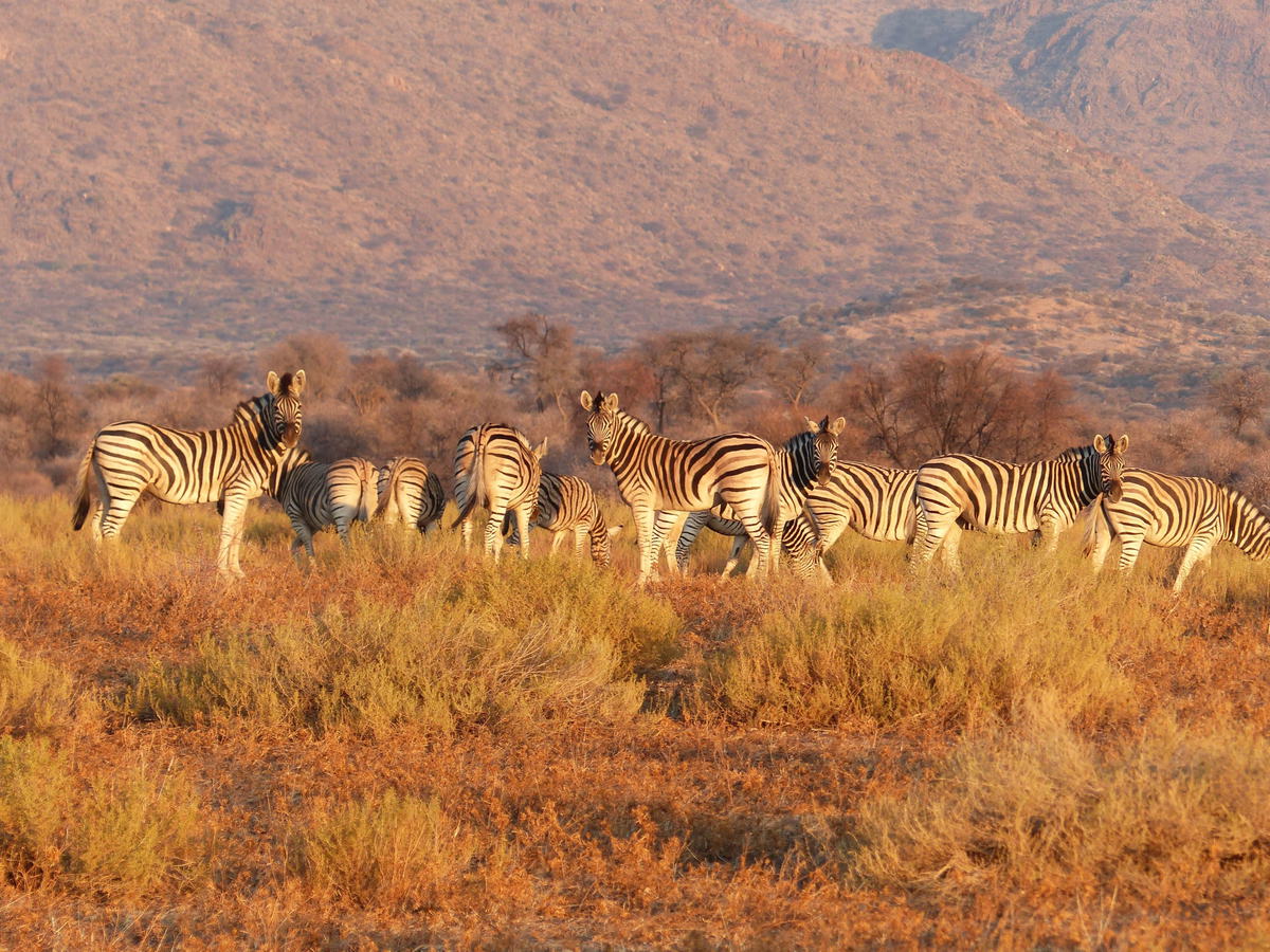 Explore The Exotics In All-Inclusive Ultra Luxury With Regent Seven Seas Cruises