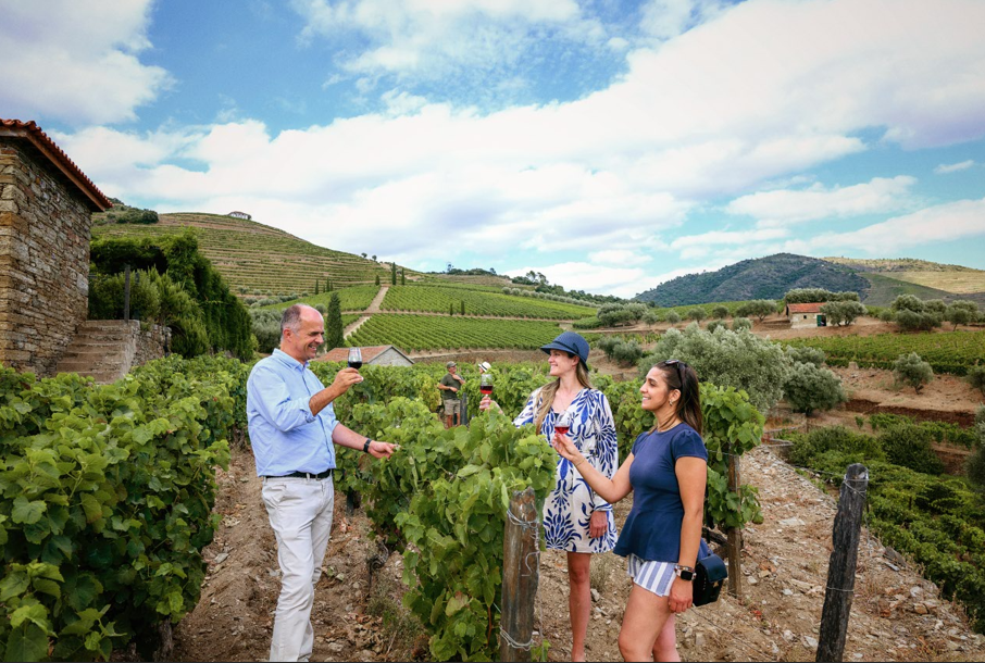 Wine Tasting at a Local Quinta