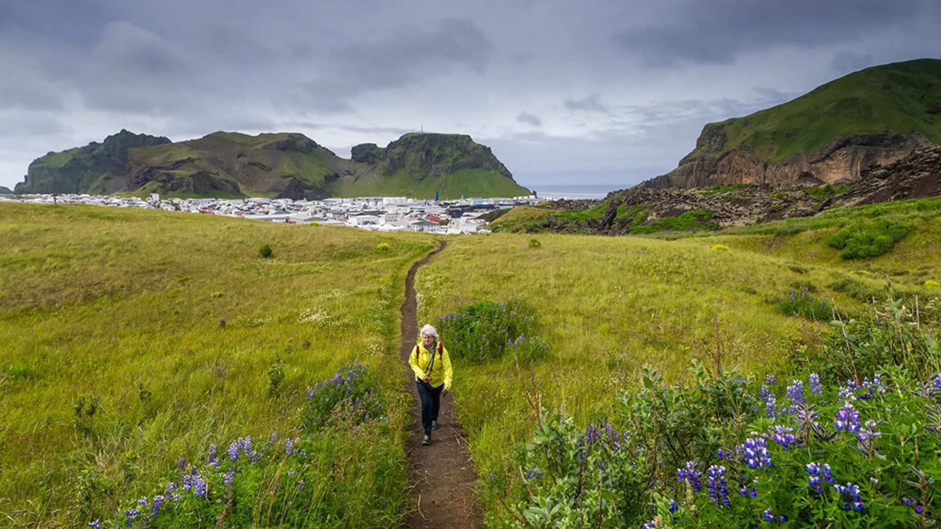 Wild Arctic Shores: Circumnavigating Iceland and Exploring Greenland