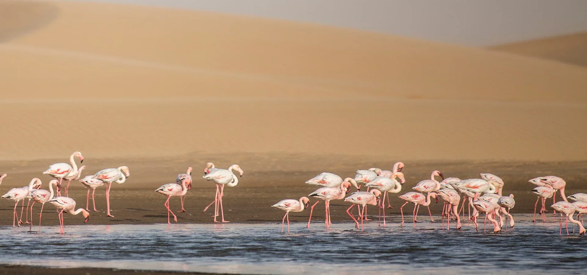 Namibia & Desert Coastlines
