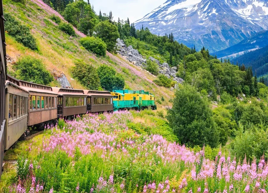 Glacier Bay & Scenic Cruising