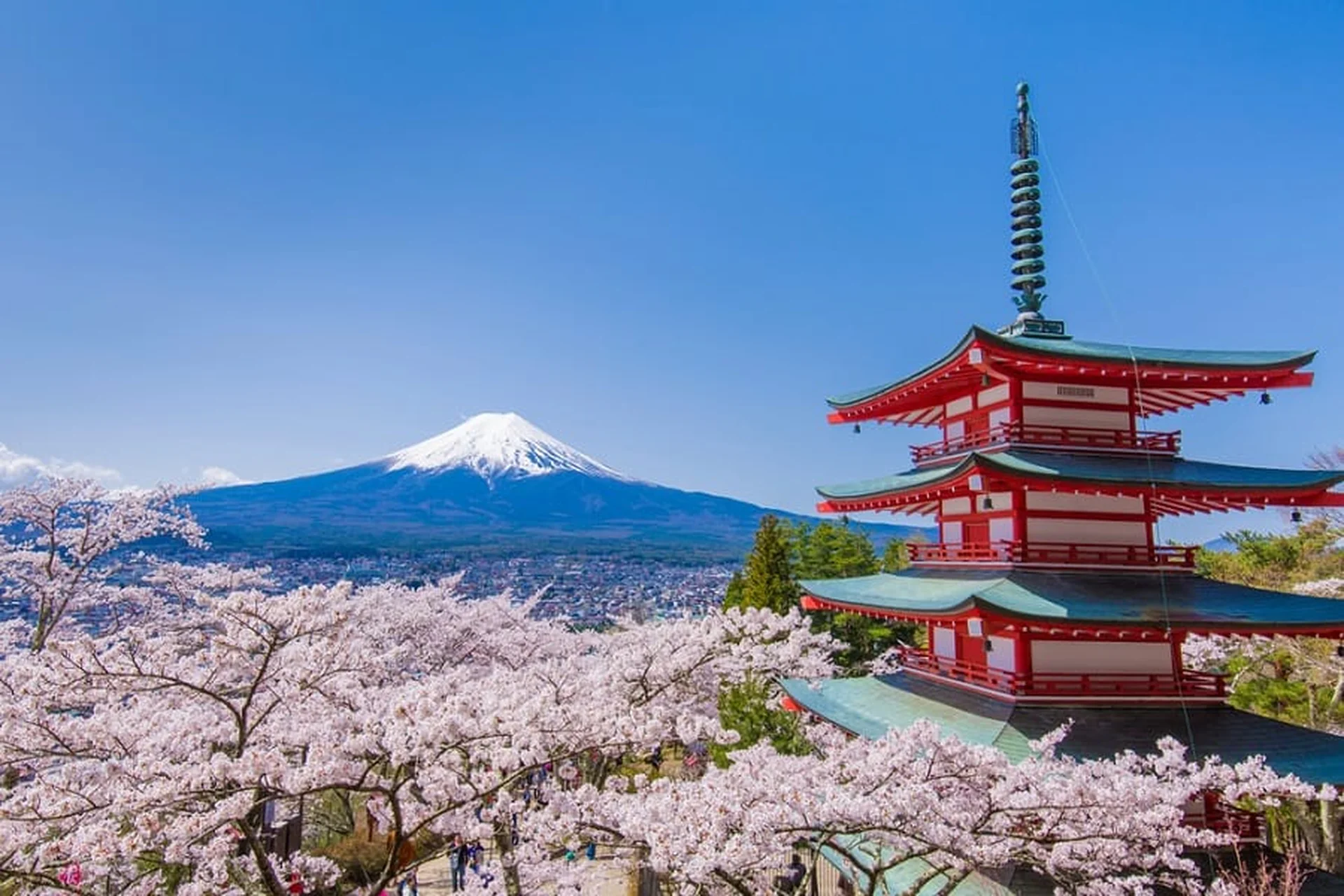Japan & Northeast Asia