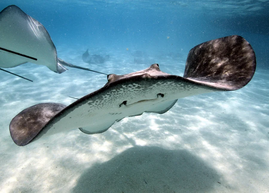 Bimini & Smaller-Island Escapes