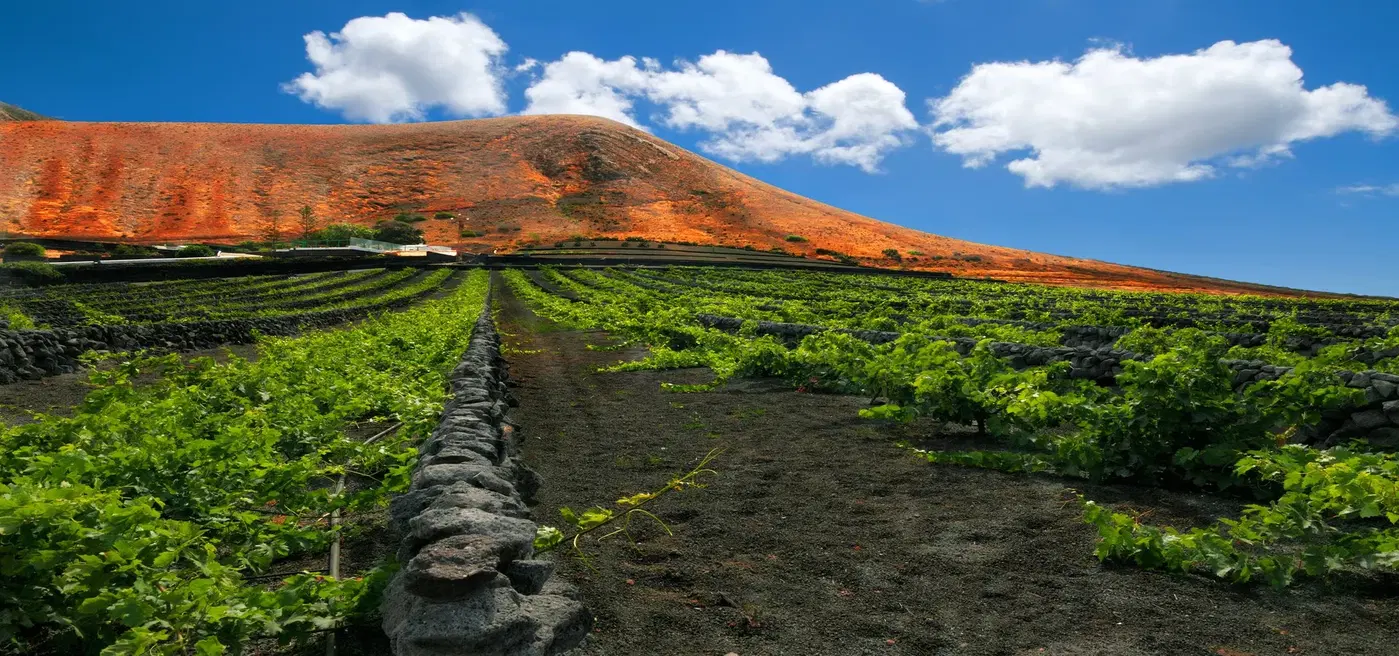 Canary Islands