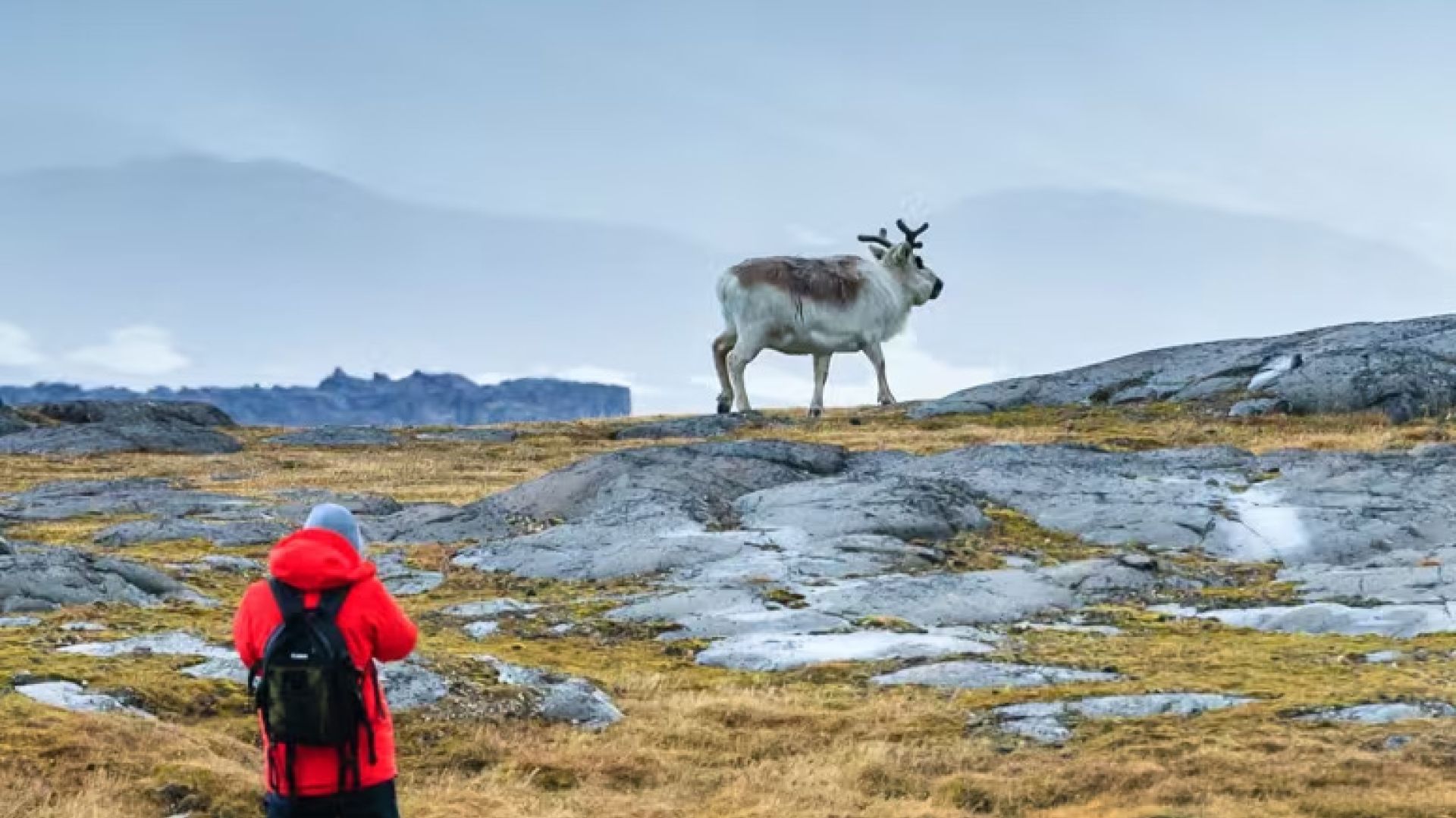 Svalbard
