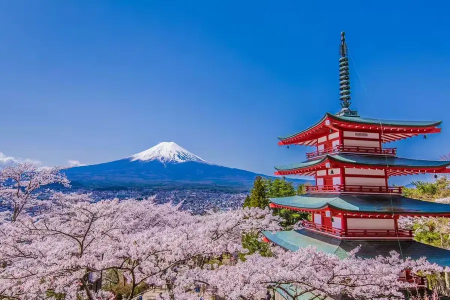 Japan is one of the best destinations for travelers who want depth rather than just scenery.