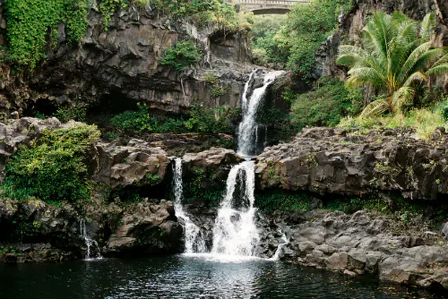 Maui