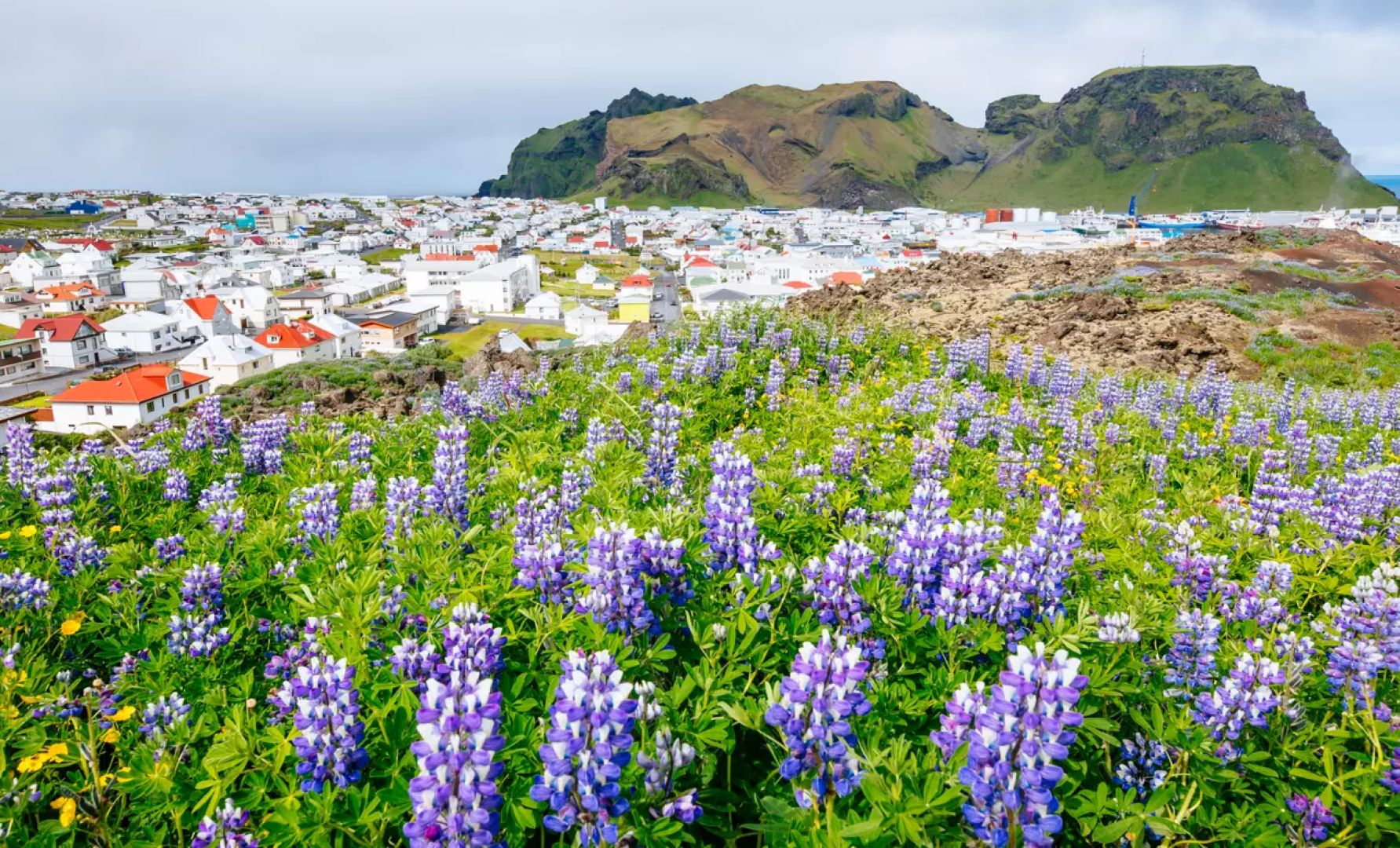 Iceland Expeditions